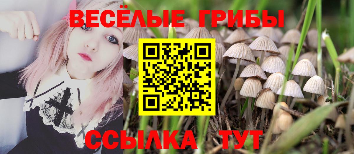 Галлюциногенные грибы Magic Shrooms Майский