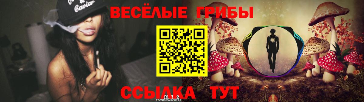 Псилоцибиновые грибы Psilocybine cubensis  Вход с VPN  Майский 
