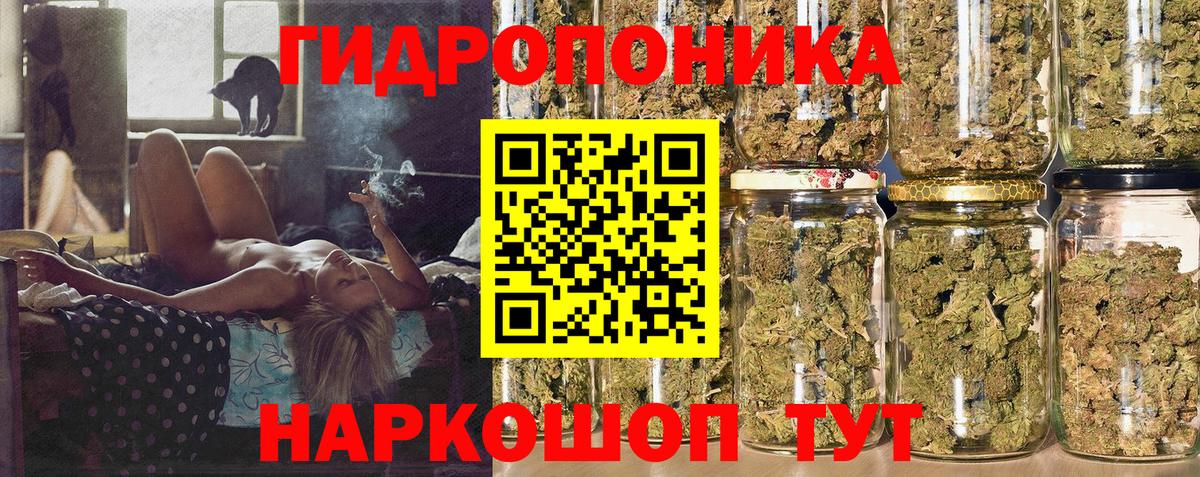 Конопля планчик Майский